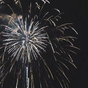 裸体黄色网网站下载
